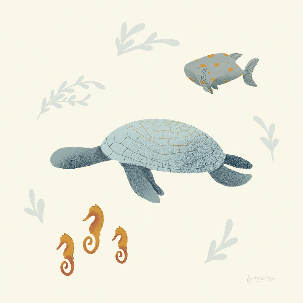 Loggerhead Life: Storybook