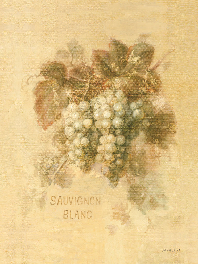 Reproduction of Sauvignon Blanc by Danhui Nai - Wall Decor Art