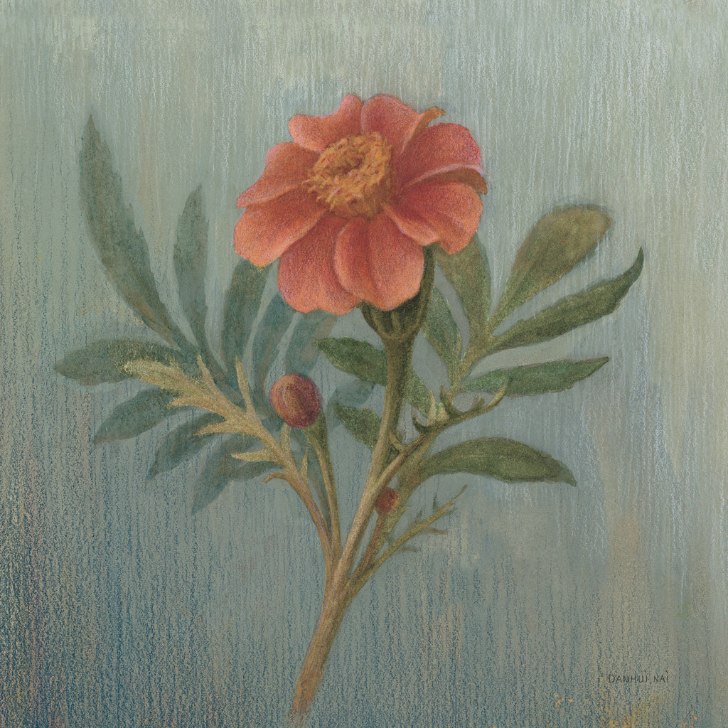 Reproduction of Cottage Zinnia by Danhui Nai - Wall Decor Art