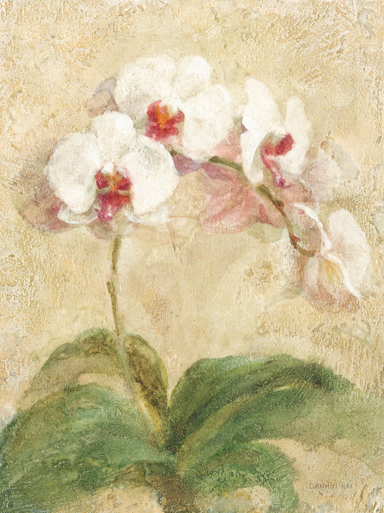 Reproduction of Dreamy Orchids I by Danhui Nai - Wall Decor Art