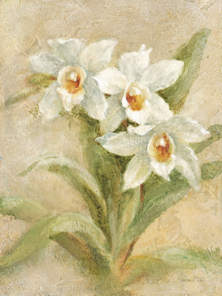 Reproduction of Dreamy Orchids II by Danhui Nai - Wall Decor Art