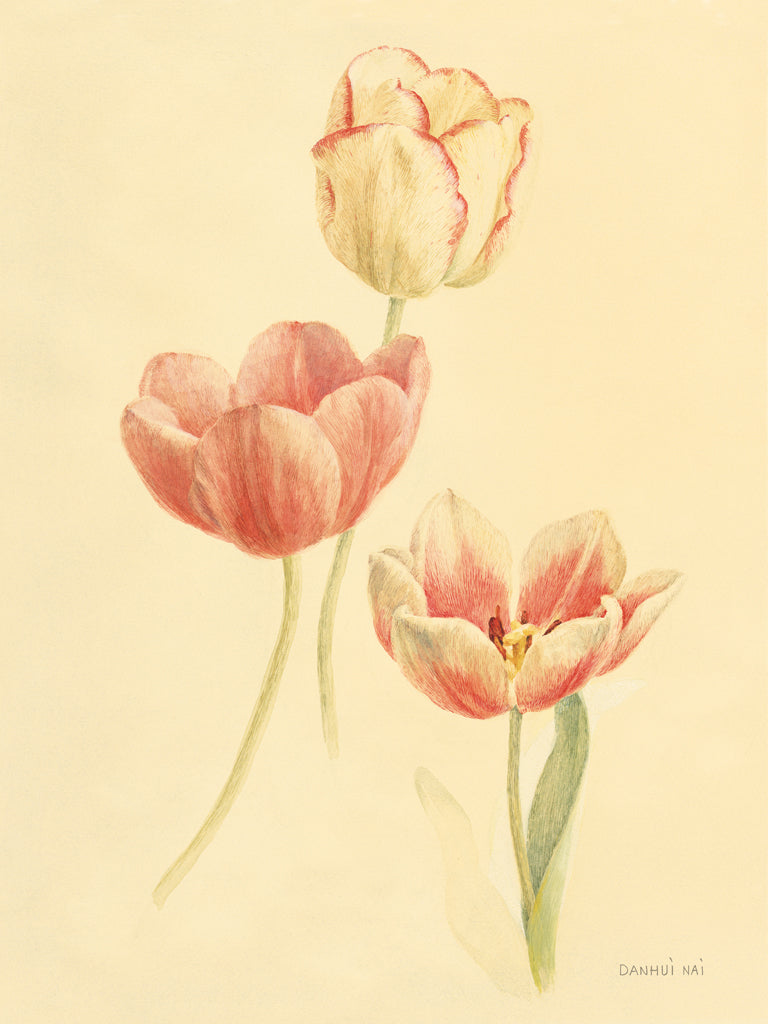 Reproduction of Tulip Study II by Danhui Nai - Wall Decor Art