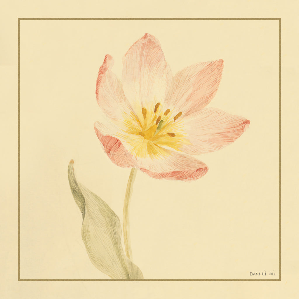 Reproduction of Tulip II by Danhui Nai - Wall Decor Art