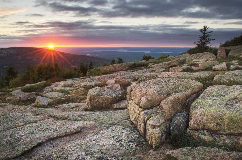 Reproduction of Acadia National Park Sunset by Alan Majchrowicz - Wall Decor Art