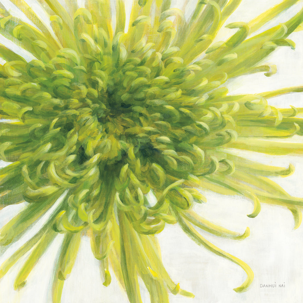 Reproduction of Contemporary Chrysanthemum by Danhui Nai - Wall Decor Art