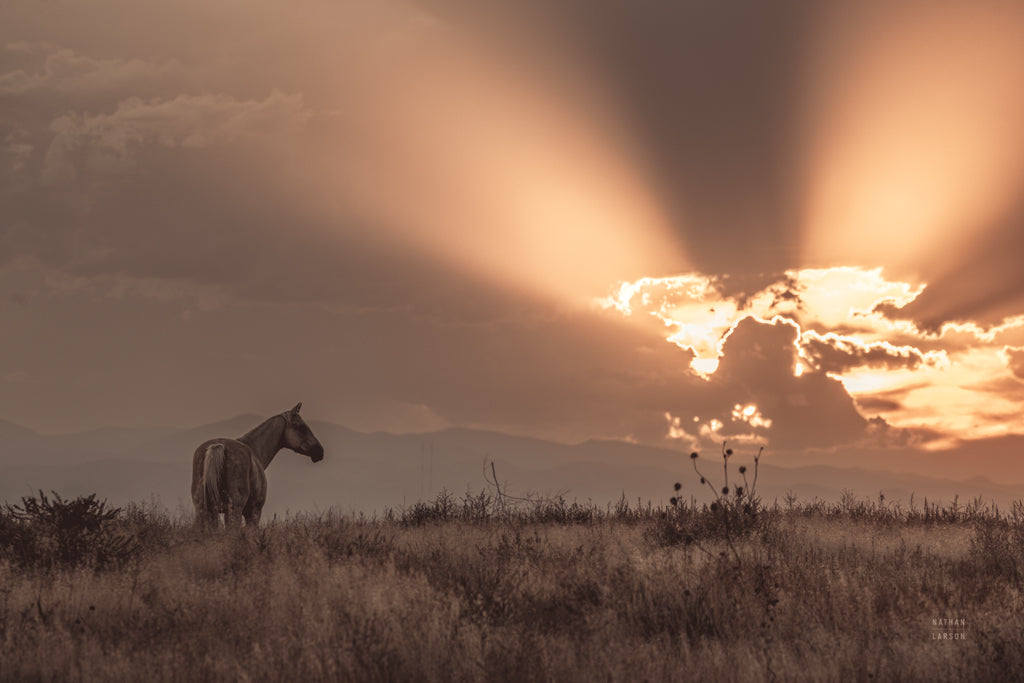 Reproduction of Faded Sunset by Nathan Larson - Wall Decor Art