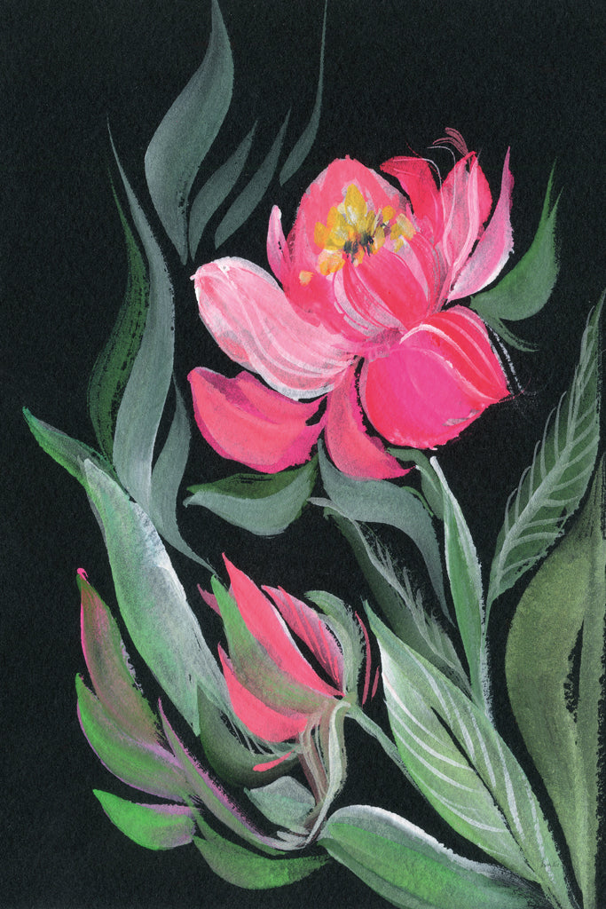 Reproduction of Peony on Black by Kristy Rice - Wall Decor Art