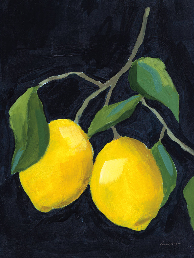 Reproduction of Two Lemons by Pamela Munger - Wall Decor Art