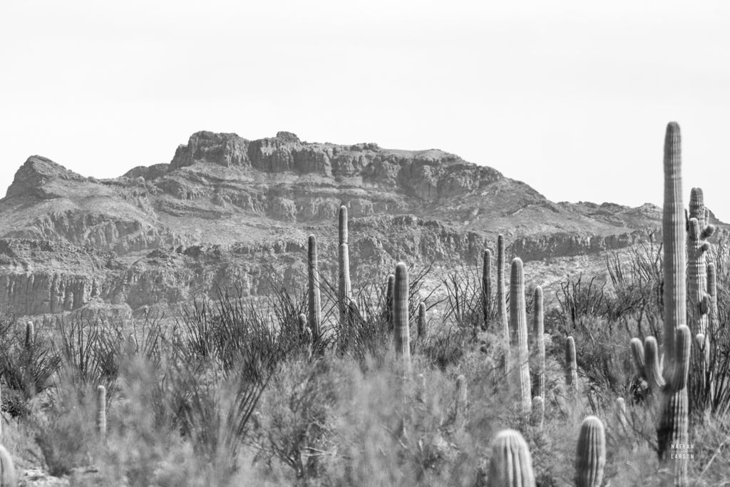 Reproduction of American Borderlands by Nathan Larson - Wall Decor Art