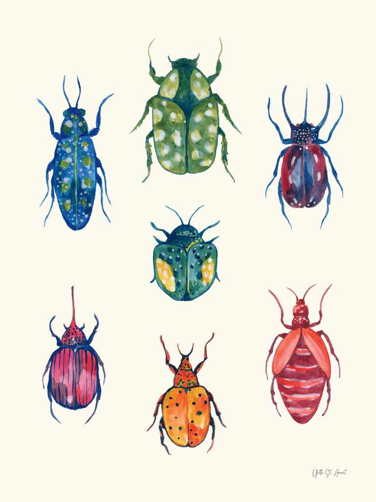 Reproduction of Beetle Chart by Yvette St. Amant - Wall Decor Art