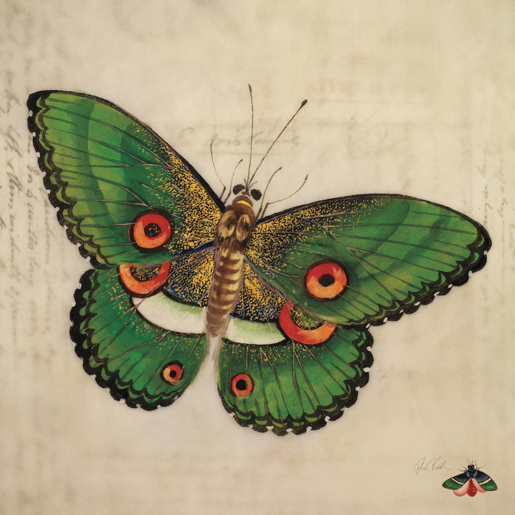 Reproduction of Vintage Green Butterfly by Deborah Revell - Wall Decor Art