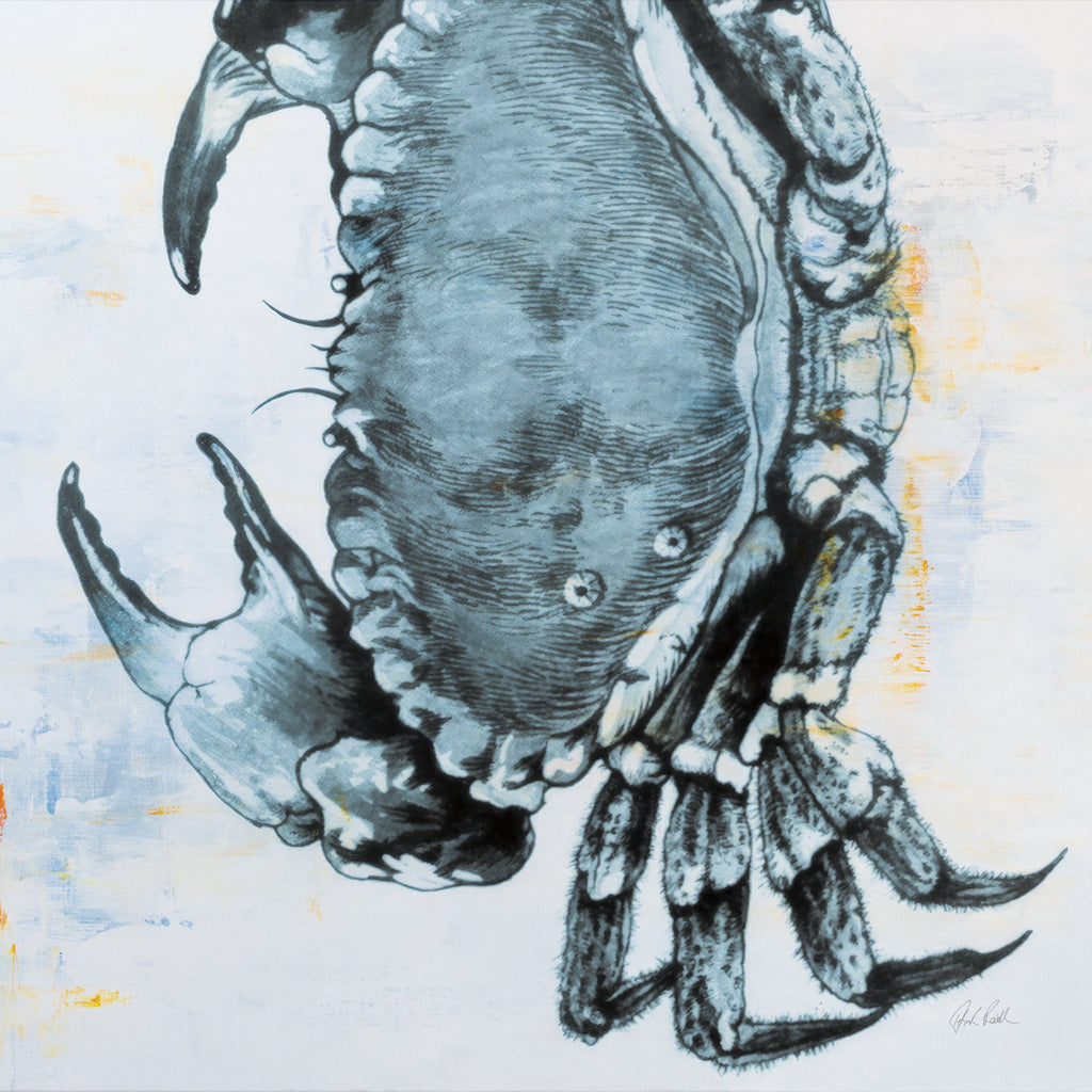 Reproduction of Blue Crab by Deborah Revell - Wall Decor Art