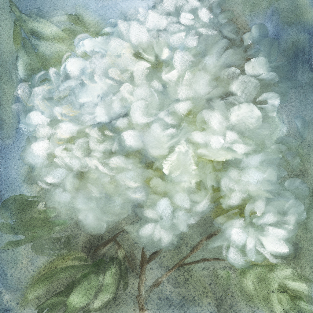 Reproduction of Twilight Hydrangea by Leslie Trimbach - Wall Decor Art