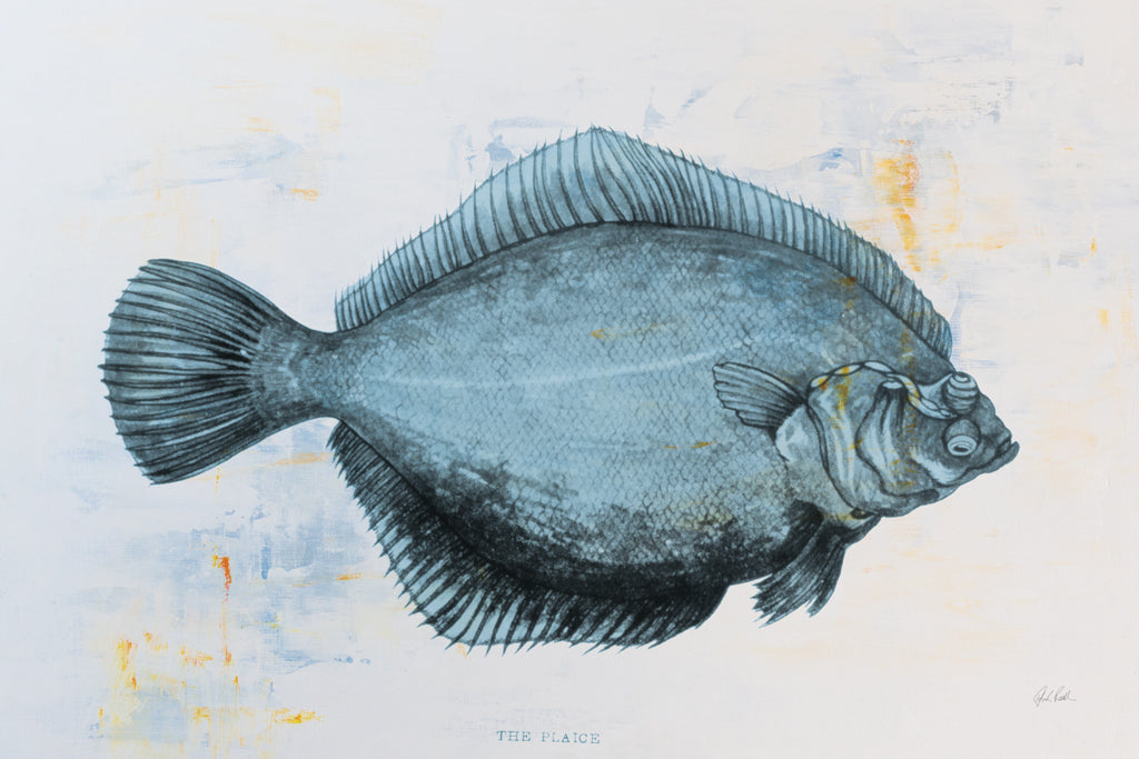 Reproduction of The Plaice by Deborah Revell - Wall Decor Art