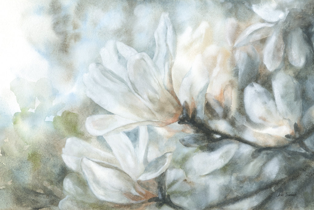 Reproduction of Magnolia by Leslie Trimbach - Wall Decor Art