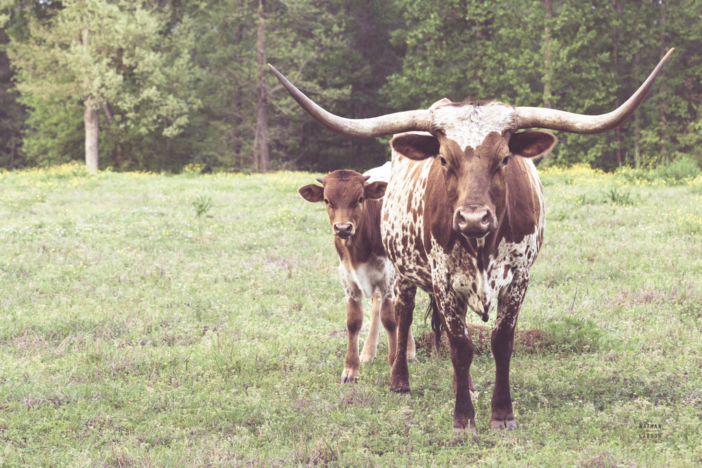 Reproduction of Longhorn Protection by Nathan Larson - Wall Decor Art