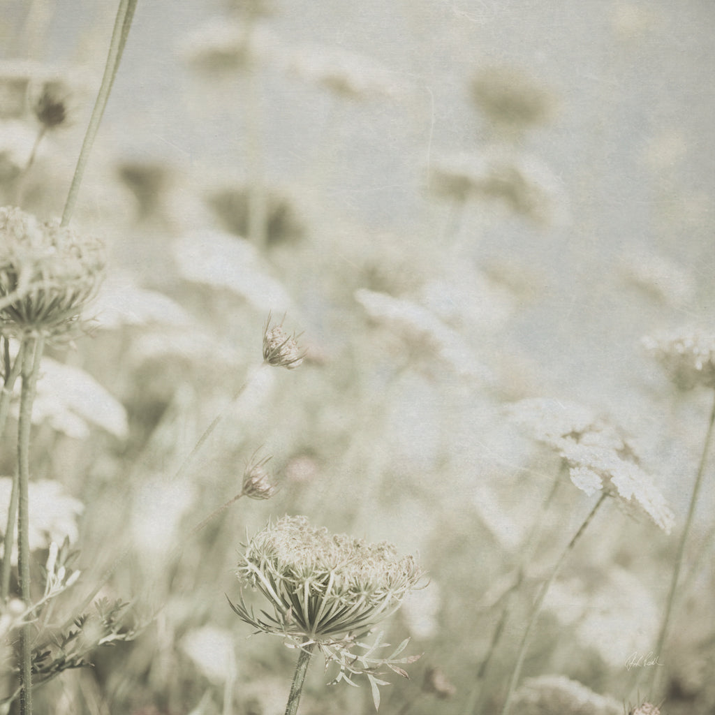 Reproduction of Wild Flowers IV No Texture by Deborah Revell - Wall Decor Art