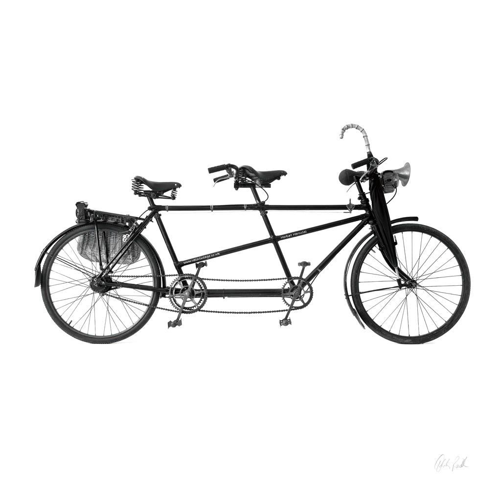 Reproduction of Tandem Bike by Deborah Revell - Wall Decor Art