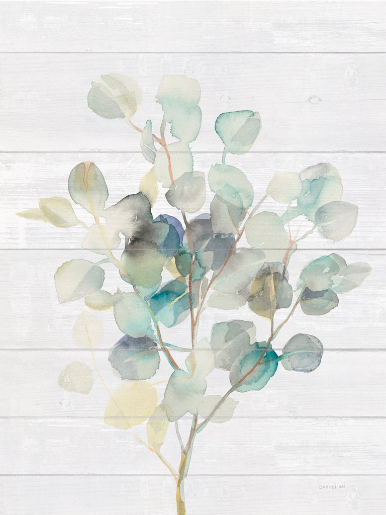 Reproduction of Eucalyptus III on Shiplap by Danhui Nai - Wall Decor Art