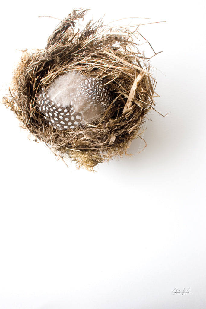 Reproduction of Empty Nest by Deborah Revell - Wall Decor Art