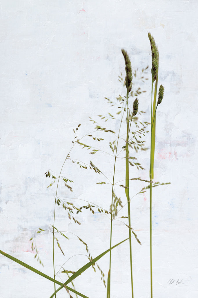 Reproduction of Meadow Greenery by Deborah Revell - Wall Decor Art