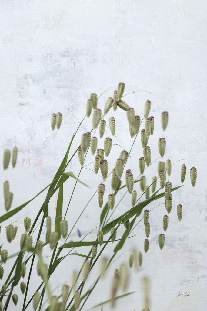 Reproduction of Quaking Grass by Deborah Revell - Wall Decor Art