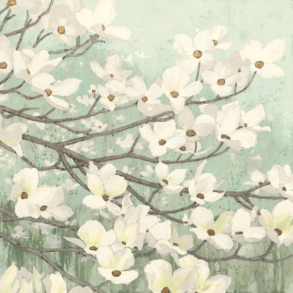 Reproduction of Dogwood Blossoms II Sage Green by James Wiens - Wall Decor Art