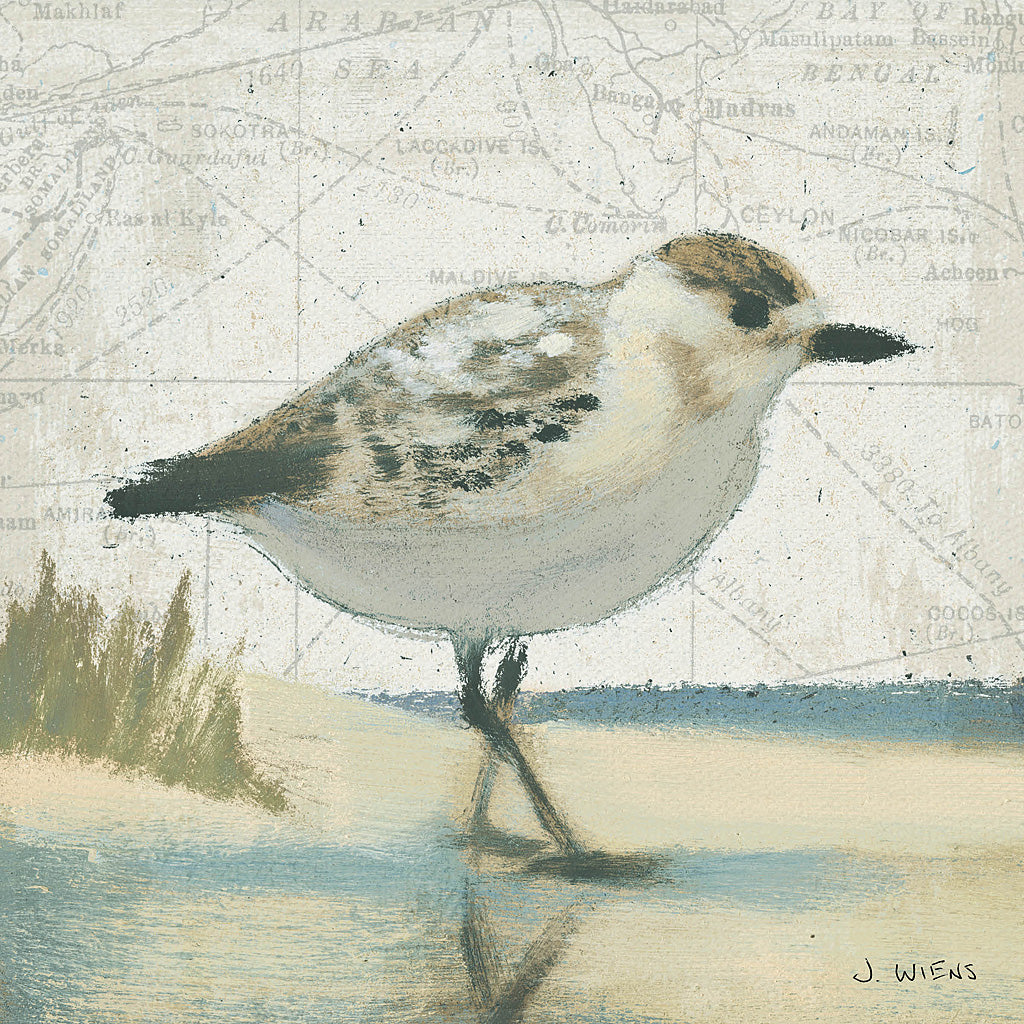 Reproduction of Beach Bird I by James Wiens - Wall Decor Art