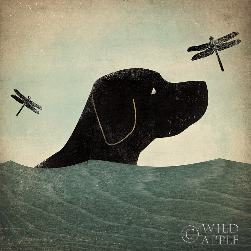 Reproduction of Black Dog Swim by Ryan Fowler - Wall Decor Art