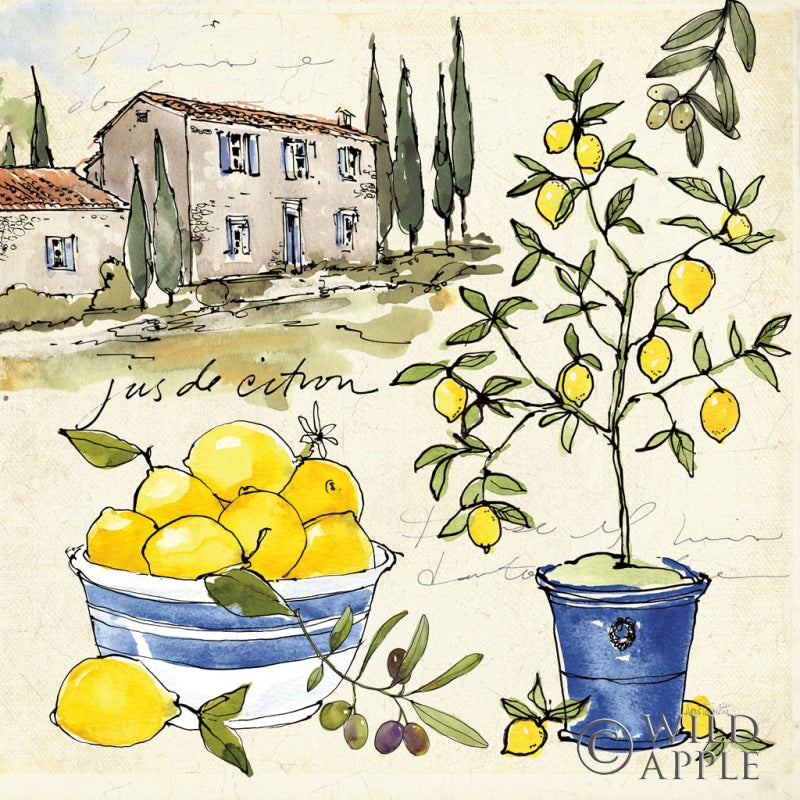 Reproduction of Citron III by Anne Tavoletti - Wall Decor Art