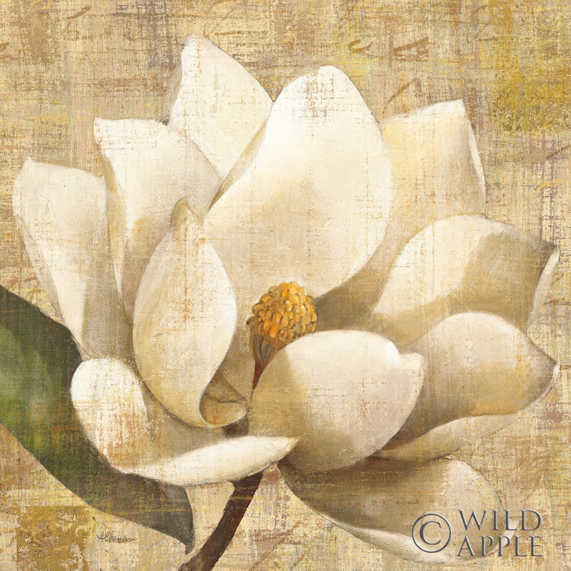 Reproduction of Magnolia Blossom on Script by Albena Hristova - Wall Decor Art