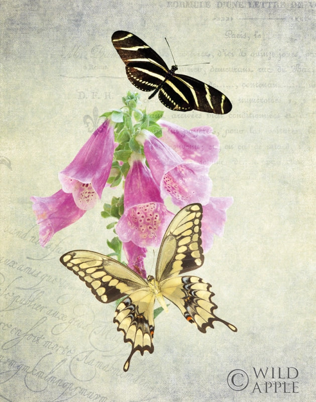 Reproduction of Butterfly Botanical IV by Debra Van Swearingen - Wall Decor Art