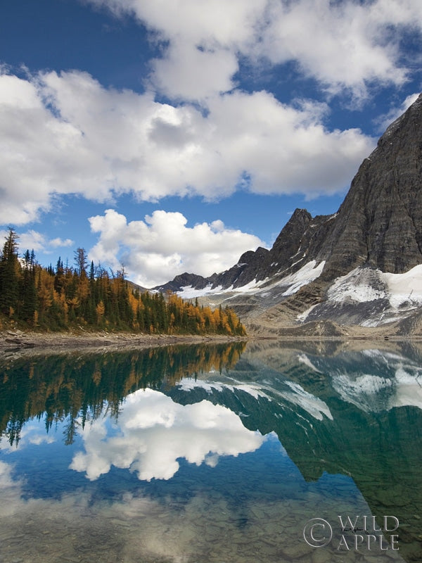 Reproduction of Floe Lake Reflection I by Alan Majchrowicz - Wall Decor Art