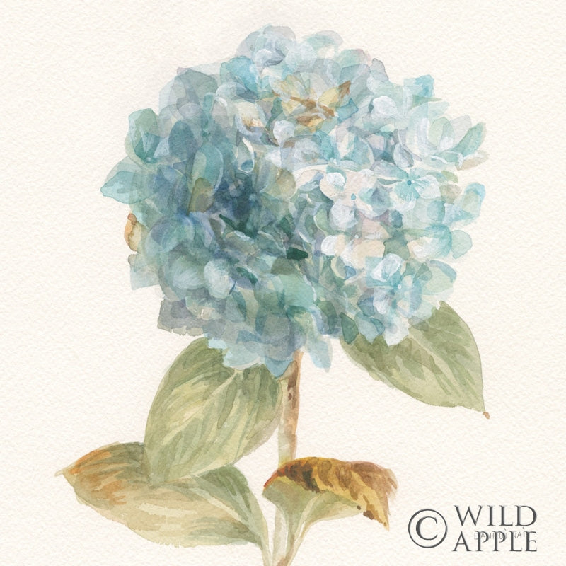 Reproduction of Garden Hydrangea Crop by Danhui Nai - Wall Decor Art