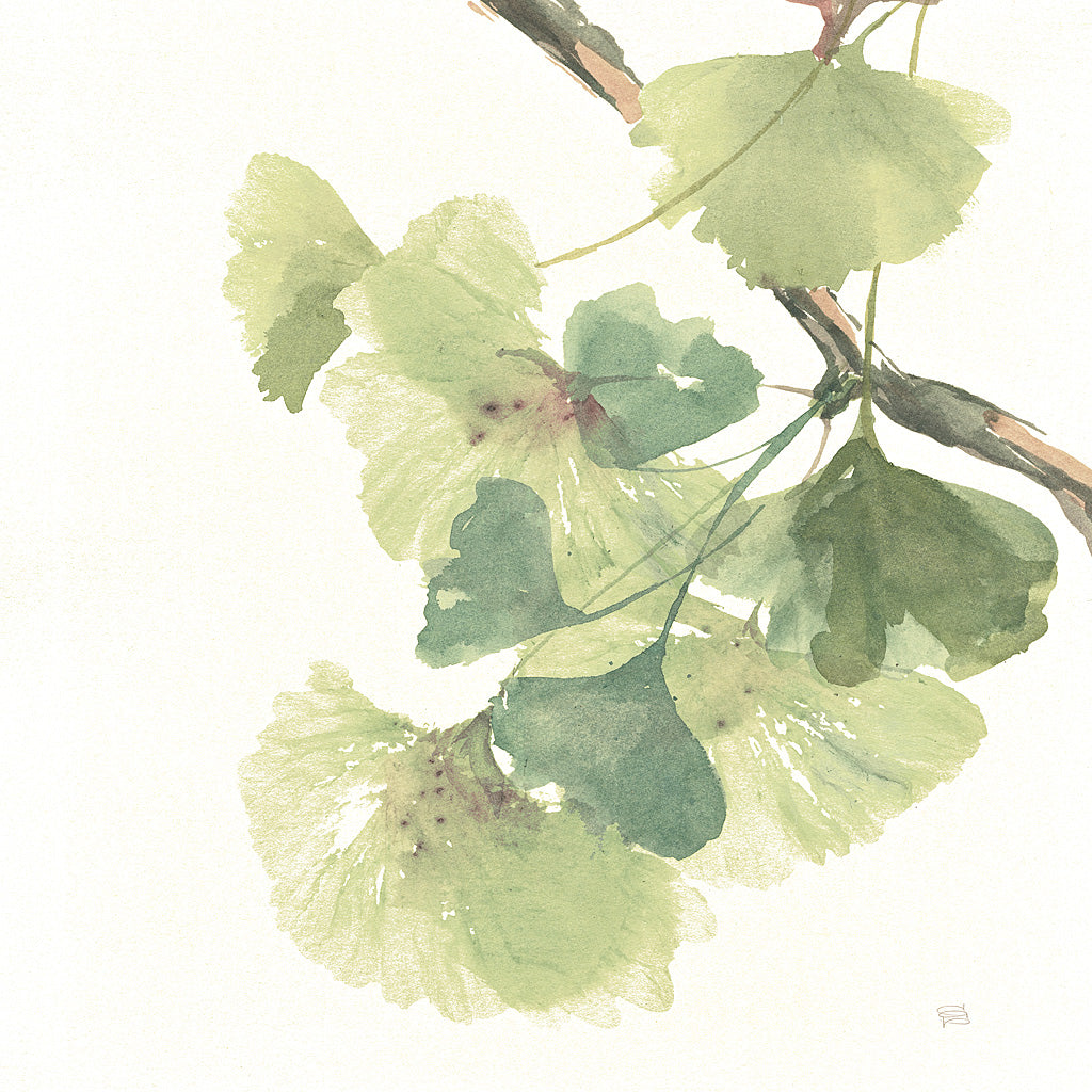 Reproduction of Gingko Leaves II on White by Chris Paschke - Wall Decor Art