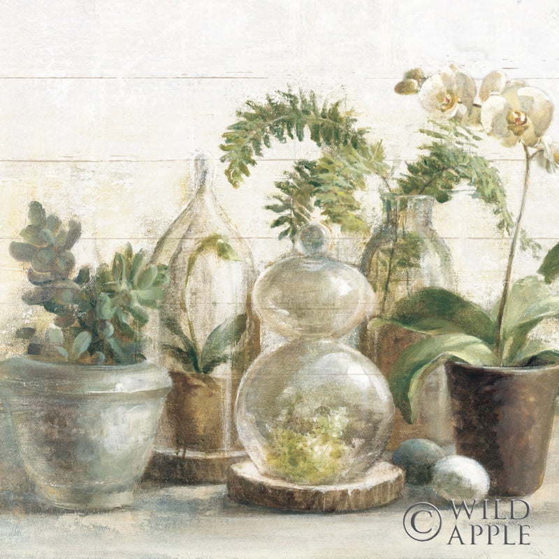 Reproduction of Greenhouse Orchids on Shiplap Crop by Danhui Nai - Wall Decor Art