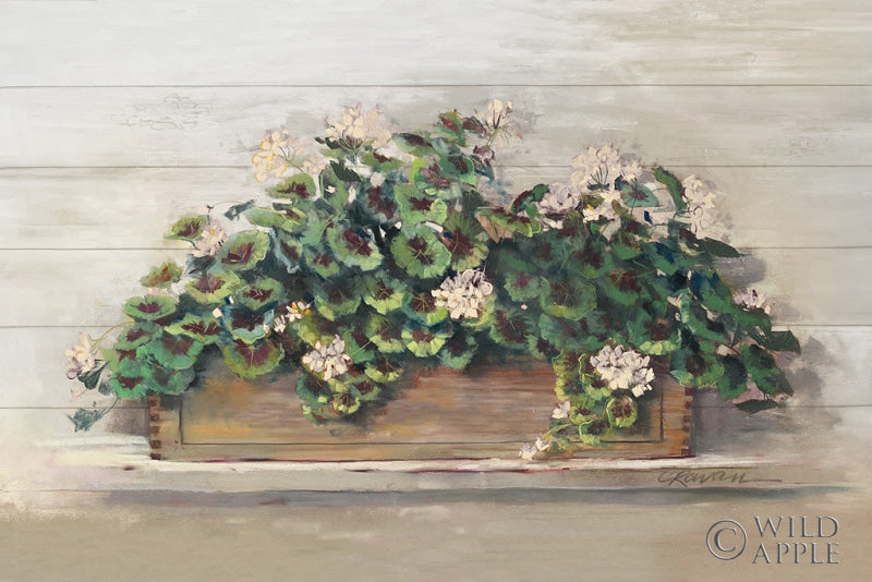 Reproduction of Market Geraniums Crop by Carol Rowan - Wall Decor Art