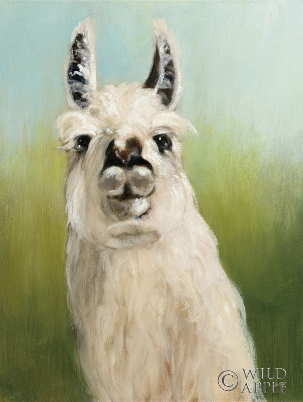 Reproduction of Whos Your Llama I Crop by Julia Purinton - Wall Decor Art