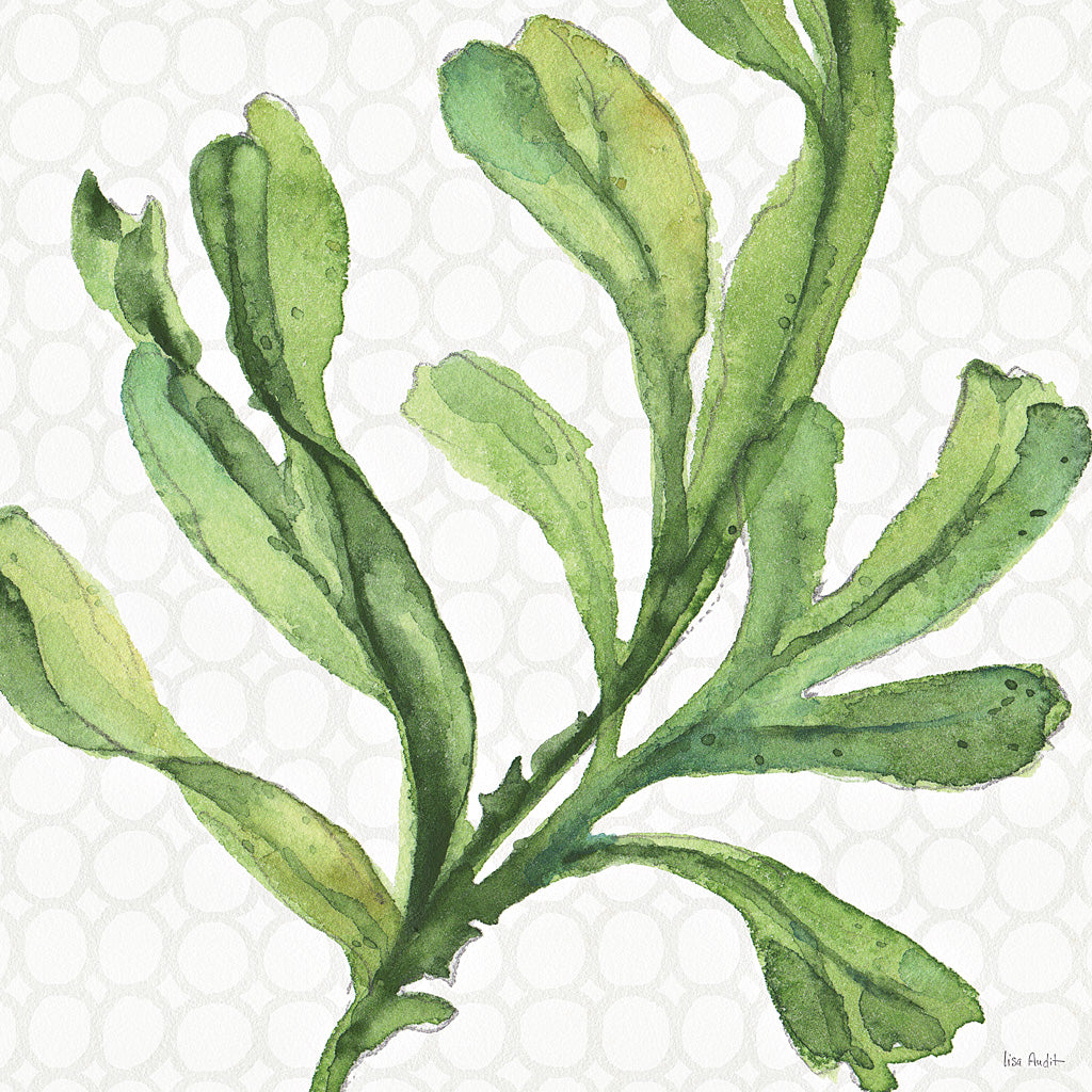 Reproduction of Mixed Greens XIX by Lisa Audit - Wall Decor Art