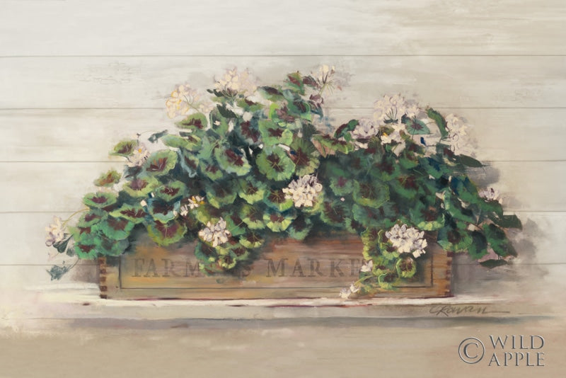 Reproduction of Market Geraniums Farmers Market Crop by Carol Rowan - Wall Decor Art