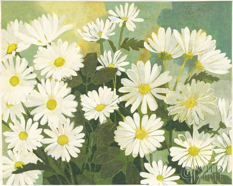 Reproduction of Lots of Daisies v2 by Kathrine Lovell - Wall Decor Art