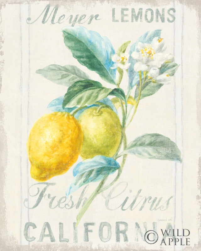 Reproduction of Floursack Lemon II by Danhui Nai - Wall Decor Art