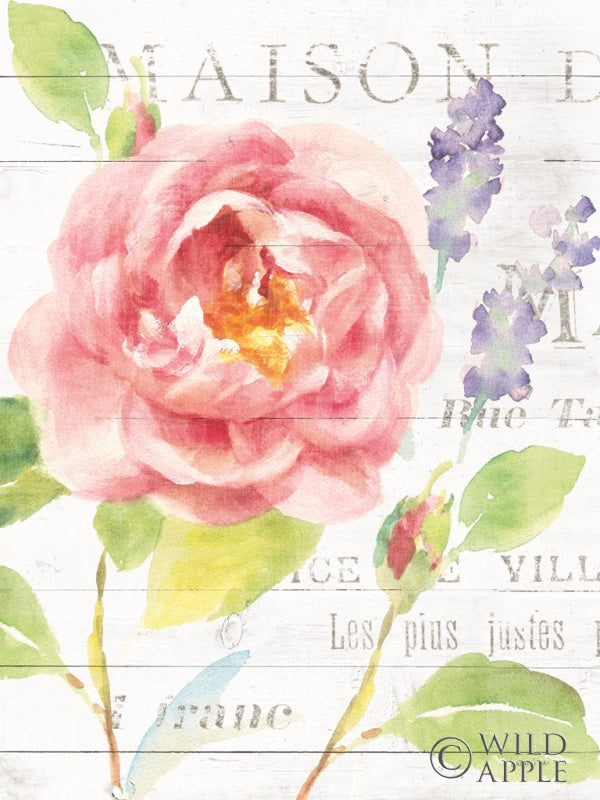 Reproduction of Maison Des Fleurs III Crop by Danhui Nai - Wall Decor Art