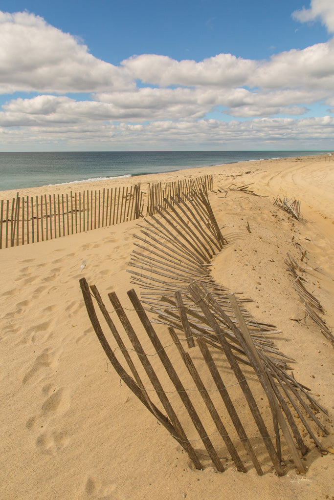 Reproduction of Beach Dunes II by Aledanda - Wall Decor Art