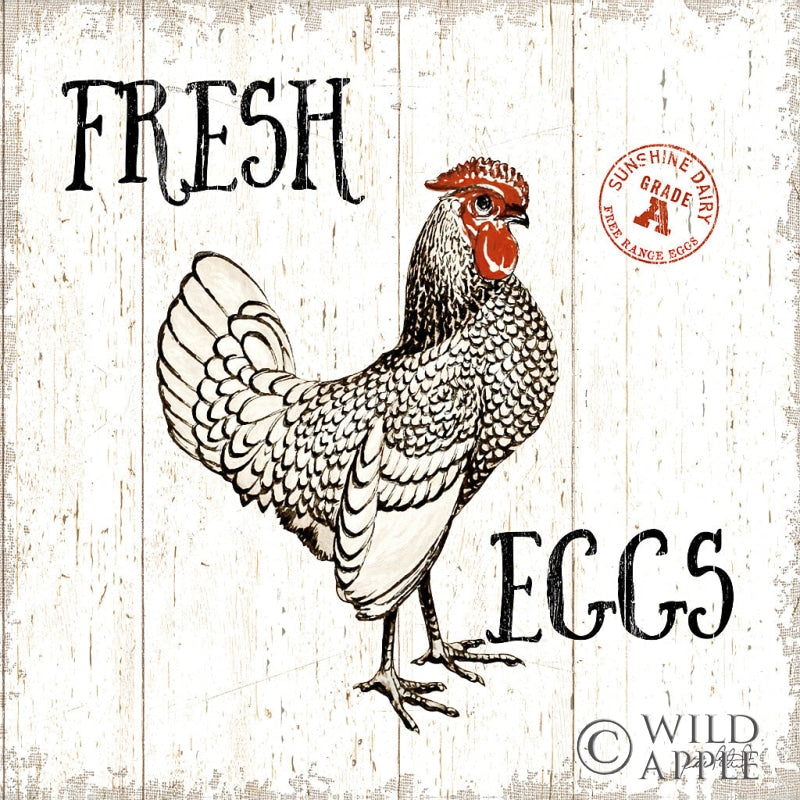 Reproduction of Free Range Fresh IV by Katie Pertiet - Wall Decor Art