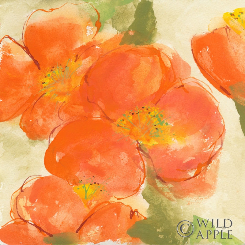 Reproduction of Tangerine Poppies I by Chris Paschke - Wall Decor Art