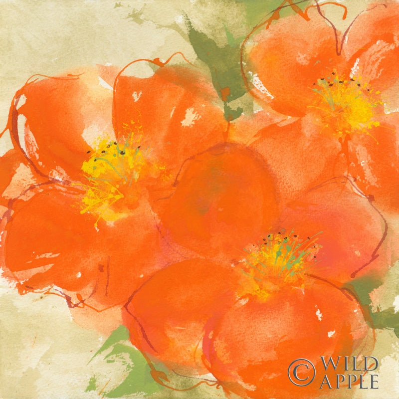 Reproduction of Tangerine Poppies II by Chris Paschke - Wall Decor Art