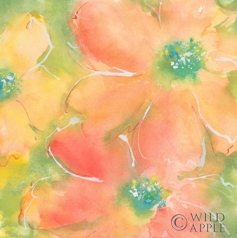 Reproduction of Summer Cosmos II by Chris Paschke - Wall Decor Art