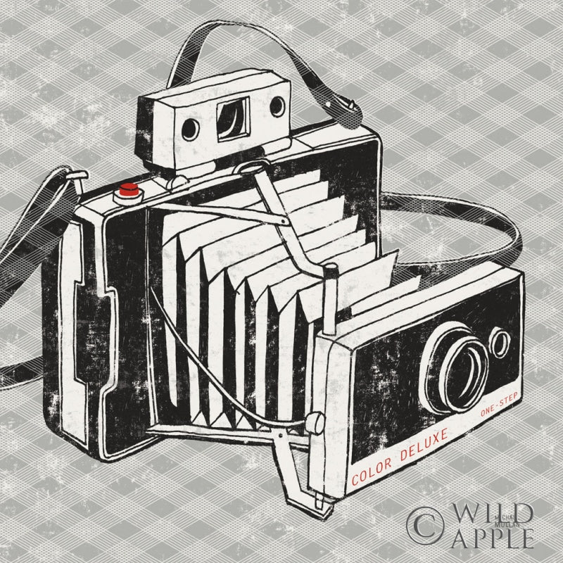 Reproduction of Vintage Analog Camera Gingham by Michael Mullan - Wall Decor Art