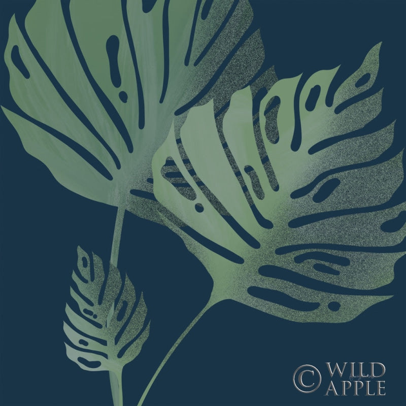 Reproduction of Monstera III by Becky Thorns - Wall Decor Art